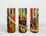 Tumbler 20oz/590ml - Rainbow Lorikeet