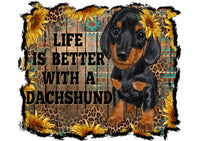 Tumbler 20oz/590ml - Life is better with a dachshund